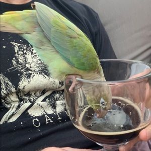 Meet your Posher, Tali